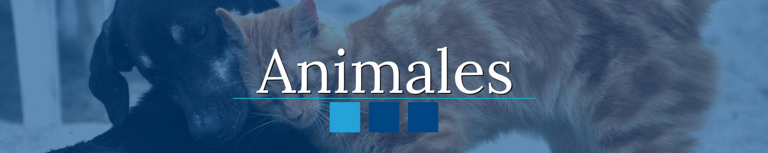 seguros animales hogar